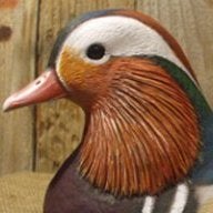 Woodduck31