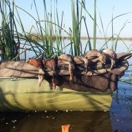 Swampfoot